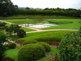 Seiden field and tea plantations