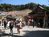 Main courtyard of Ōagata-jinja