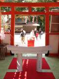 Sacred torii within the Ladies Shrine