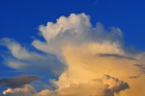 Photo-A-Day, Feb 2009