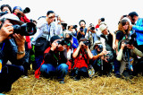 DSC_1662c.jpg