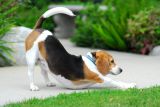 Stretch after a nap.