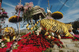 Rose Parade 2008, Sweepstakes Award