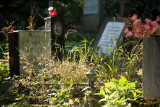 Lycakivske graveyard
