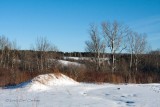 IMG_3210-Hunters_Creek.jpg