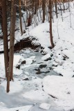 IMG_3226-Hunters_Creek.jpg