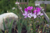 07/18/2010 - _MG_8989.jpg