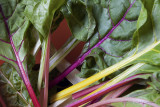 07/20/2010 - _MG_9043.jpg