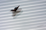 07/21/2010 - _MG_9057.jpg