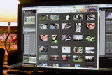 08/08/2010 - _MG_9461.jpg