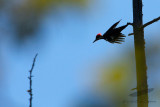 08/20/2010 - _MG_9804.jpg