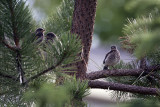 08/22/2010 - _MG_9890.jpg