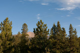 IMG_3790.jpg