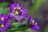 09/17/2010 - _MG_0140.jpg