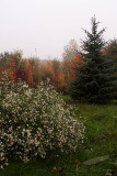 10/11/2010 - _MG_0773.jpg