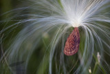 10/18/2010 - _MG_1112.jpg