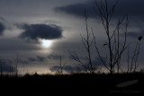 11/19/2010 - _MG_1778.jpg