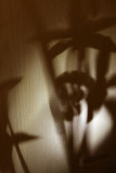 12/07/2010 - _MG_2031.jpg
