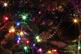 12/08/2010 - _MG_2036.jpg