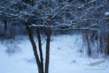 01/19/2011 - _MG_2394.jpg