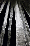 01/28/2011 - IMG_0443.jpg