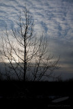 01/29/2011 - _MG_2455.jpg