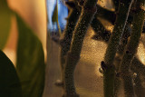 02/09/2011 - _MG_2552.jpg