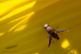 09/09/2012 - _MG_8194.jpg