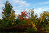 09/29/2012 - _MG_8336.jpg