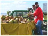 Coconut vendors