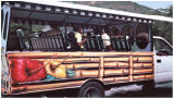 Tortola school bus