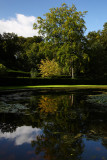 Reflection