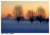 Cold, Foggy Morning