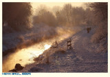 Steaming Cold