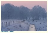 Ducks fying over the Dutch - German border