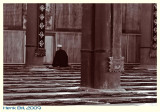 China2009-50D-1023 Custom.JPG