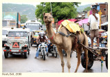 Camel Blockade