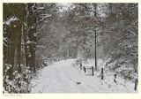 Winter 2010/2011