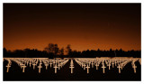 American War Cemetery - II