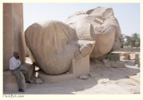Ramesseum 4