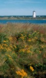 Edgartown Lighthouse