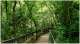 Along Minnehaha Creek, Minneapolis, MN