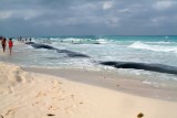 Playa-del-Carmen-534.jpg