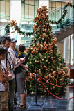 Christmas Tree at the Museum