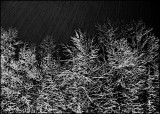 still more winter