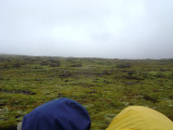 DSC03930.JPG