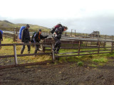 DSC04007.JPG