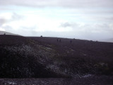 DSC04083.JPG