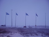 DSC05138.JPG