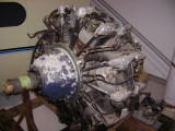DSC05198.JPG
